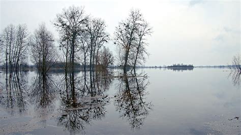 Bug River Flood Activity Bug River On Poland Ukraine Borde Flickr