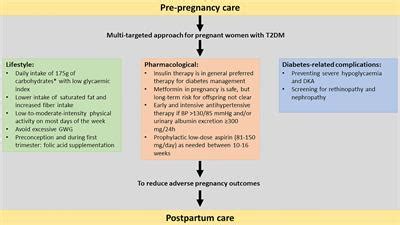 Frontiers Management Of Type Diabetes In Pregnancy A Narrative Review