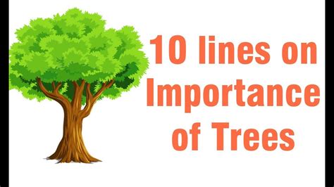 10 Lines On Importance Of Trees Short Paragraph On Tree Plantation