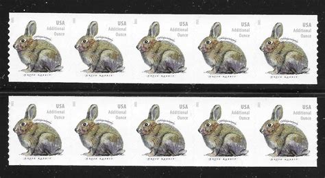 Unused Brush Rabbit Usps Forever Additional Ounce Postage Etsy