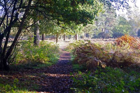 Path Across Prey Heath © Stephen Mckay Cc By Sa20 Geograph Britain