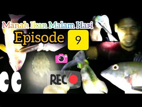 PANAH IKAN EPISOD 9 DAPAT LUMAYAN JUGA YouTube