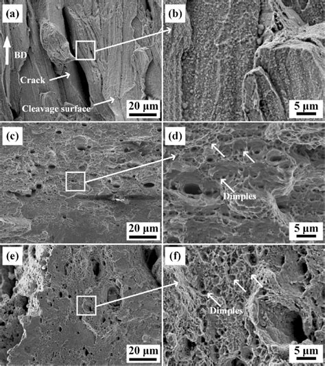 SEM Images Of Fracture Surfaces During Elevated Temperature Tensile