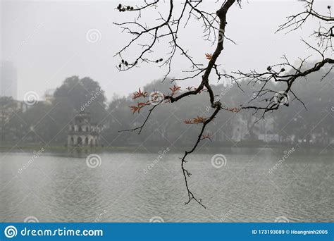 The Morning Dew in Ho Guom Lake in Ha Noi Viet Nam Stock Image - Image ...