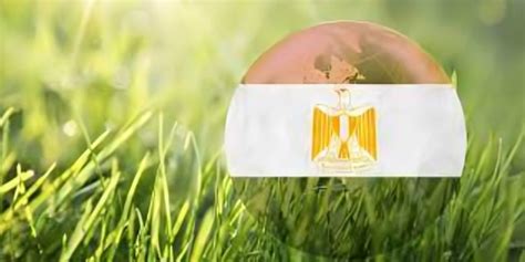 Egypt's Food Chamber, USAID launch "Green Path" initiative for rural ...