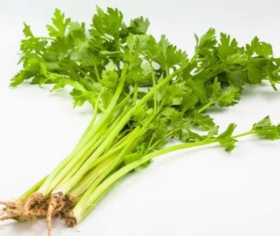 G Chinese Celery 1Packed 中国芹菜一扎 Orange Go