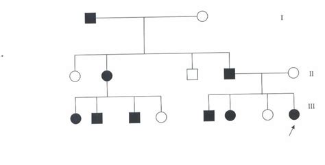 Autosomal Pedigree Chart