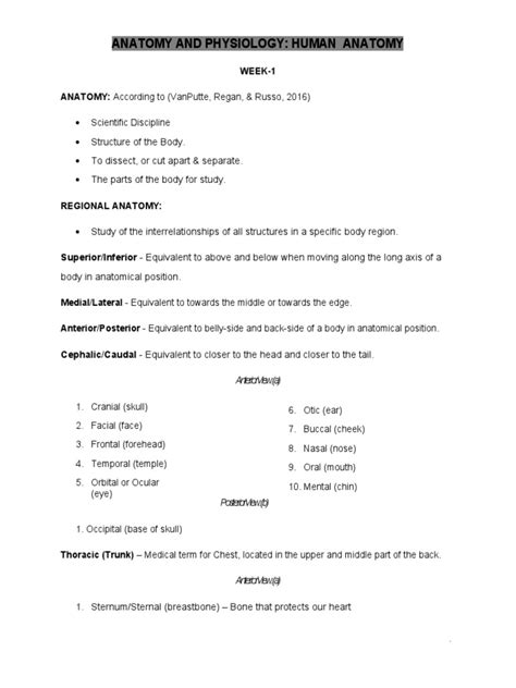 Anatomy and Physiology Notes | PDF | Bone | Epithelium