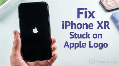 How To Fix IPhone XR Stuck On Apple Logo Boot Loop Without Losing Any