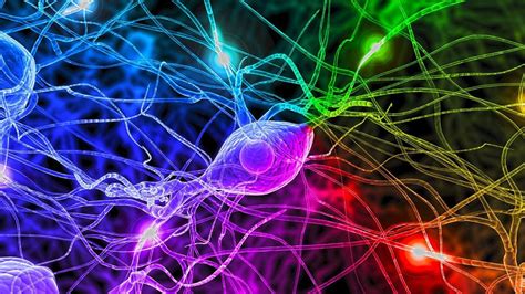 Neuroscience Wallpapers Top Free Neuroscience Backgrounds