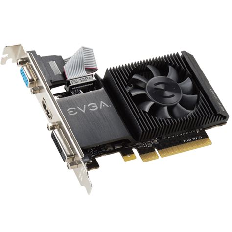 Evga Latam Productos Evga Geforce Gt Gb Single Slot Low