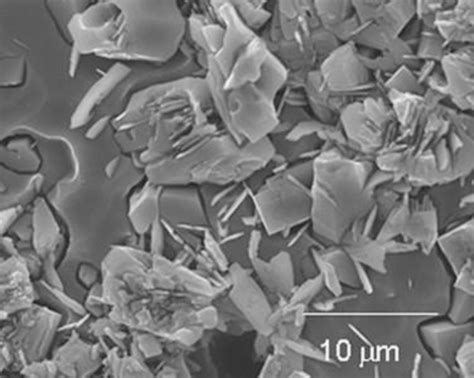 Sem Micrograph Of Glass Ceramic Treated At 900 C 40 Min Download Scientific Diagram