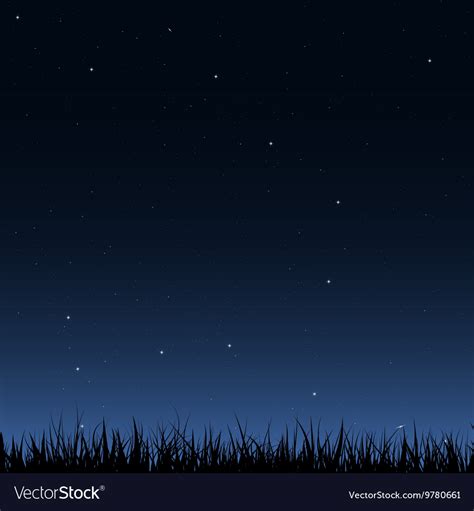 Night Sky And Grass Royalty Free Vector Image Vectorstock