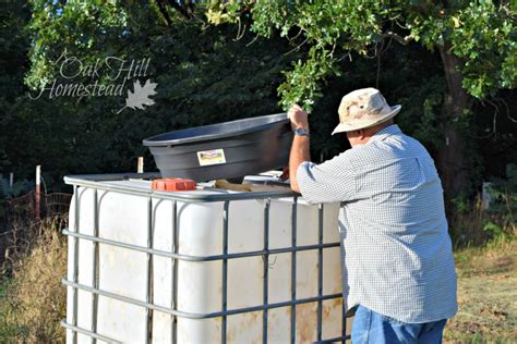 Hubby's Rainwater Catchment System - Oak Hill Homestead