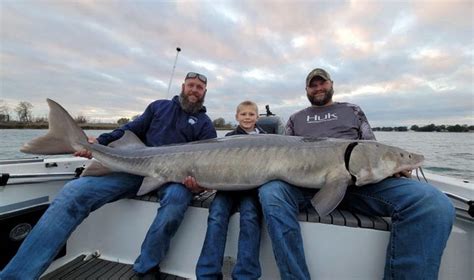 Carsonville Boy Catches Massive Sturgeon In St Clair River Sanilac