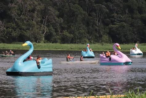 Pedalinhos No Parque Oriental S O Op O De Lazer Nos Finais De Semana E