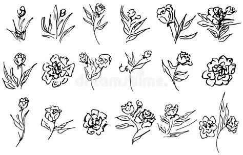 Flowers And Branches Isolated On Black Background Hand Drawn Doodle