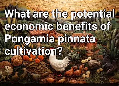 What are the potential economic benefits of Pongamia pinnata ...