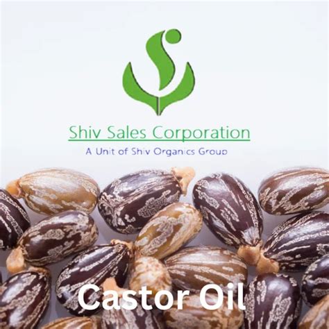 Container Cold Pressed Castor Oil For Food At Rs 140 Bottle In New