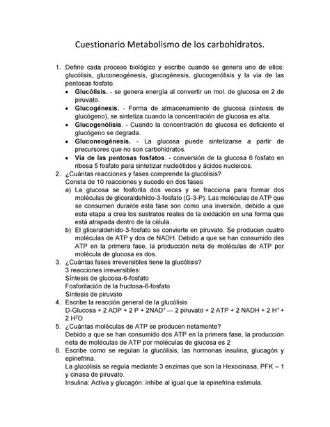 Cuestionario Metabolismo De Los Carbohidratos Define Cada Proceso