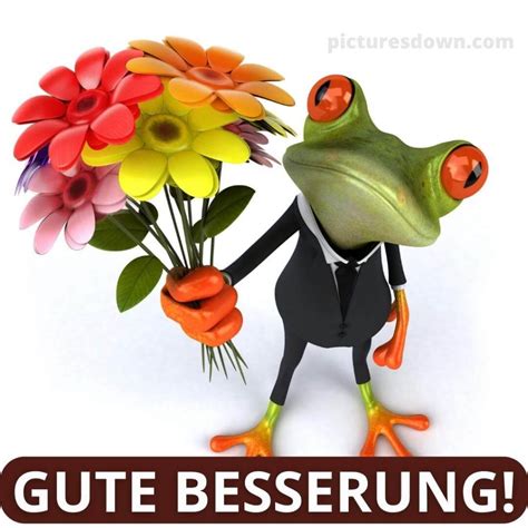 Gute Besserung Bild Frosch Kostenlos Herunterladen