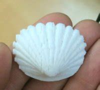 Clam Shell Stl 3D Models To Print Yeggi