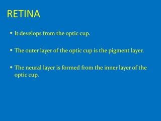 Embryology of eye | PPT | Free Download