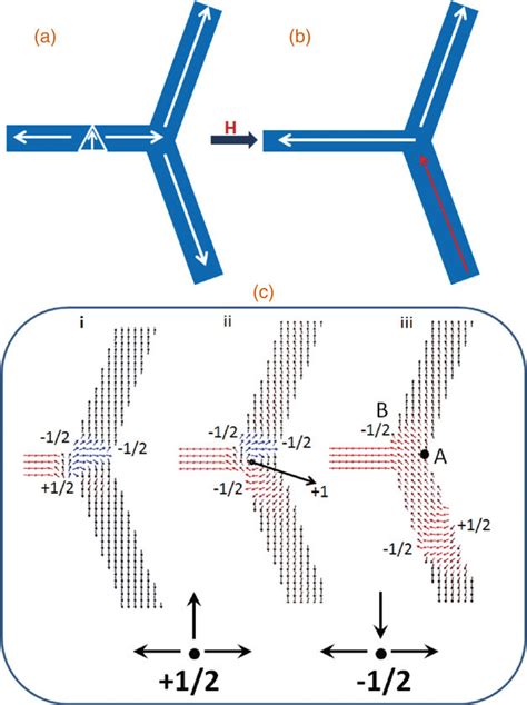 Schematics Of The Magnetization Orientations In The Network Structure