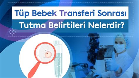 Tüp Bebek Transferi Sonrası Tutma Belirtileri Nelerdir Transfer