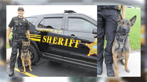 Delaware County Sheriffs Office Introduces K9 Kahless