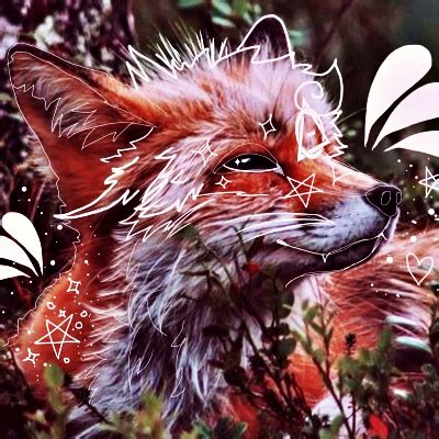 Best Animal PFP 2024 | Download 1,000+ Free Profile Pictures