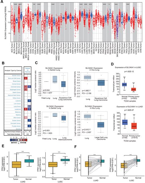 Downregulation Of Fpn1 Acts As A Prognostic Biomarker Associated With