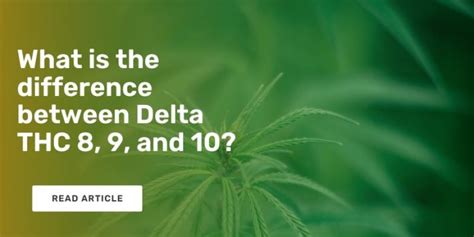 What Is The Difference Between Delta Thc And Redstorm