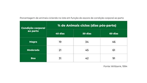 Esta O De Monta Por Que Come Ar A Planejar Agora Agblog