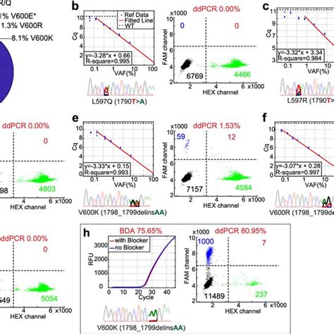 Analytical and clinical testing of non-V600E BRAF mutations. (a) BRAF ...