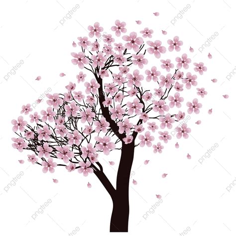 Cherry Blossom Card Vector Design Images Pink Cherry Blossom Creative Decorative Spring