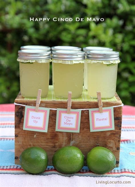 25+ Cinco de Mayo party ideas - Lolly Jane