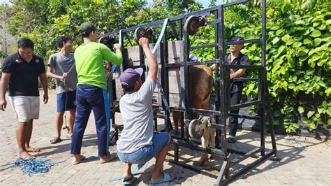 LDII Banyuwangi Punya Alat Bantu Sembelih Kurban Mudah Dan Efektif