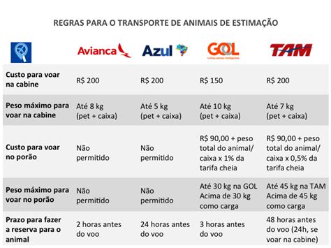 Dicas e regras para o transporte de animais de estimação em voos