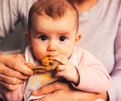 The Ultimate Guide To Baby Led Weaning And Starting Solids