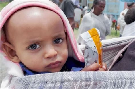 famine crisis in northern ethiopia - IHA News