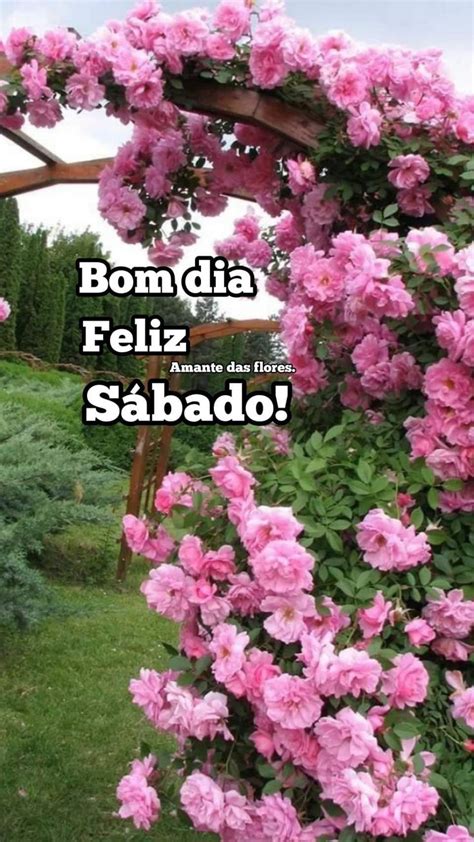 Pin de Sonia Maria Minas em Sábado Mensagem feliz sabado Mensagens