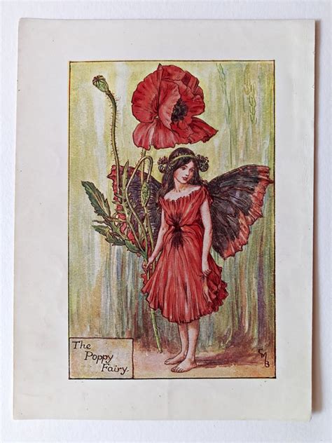 Poppy Flower Fairy Print Flower Fairy Prints