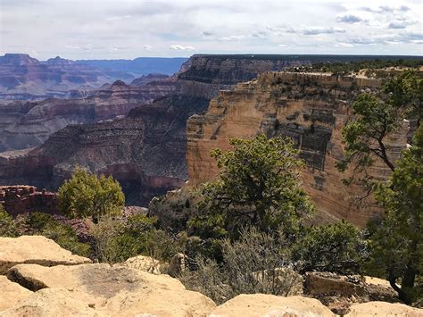 Powell Point On The Canyon Rim Trail In Grand Canyon National Park