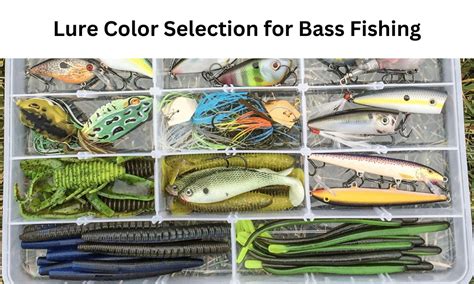 Decoding The Art Of Lure Color Selection For Bass Fishing