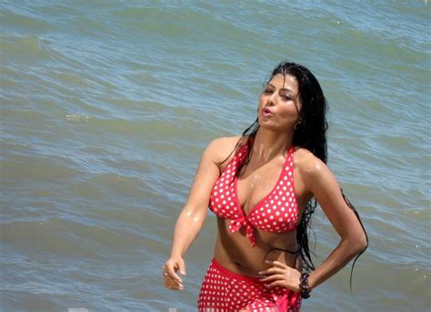 Hot And Spicy Actress Photos Gallery Actress In Hot Bikini Photos Gallery