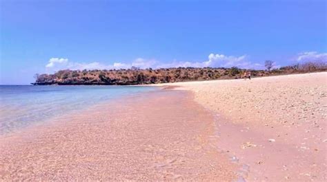 Tour Pink Beach Lombok Daily Full Packages