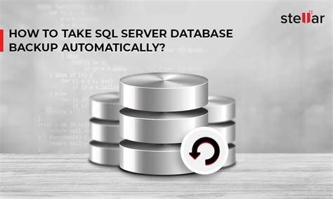 How To Backup Ms Sql Server Database Automatically Stellar