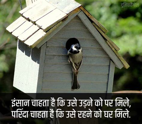 ghar shayari status quotes  hindi