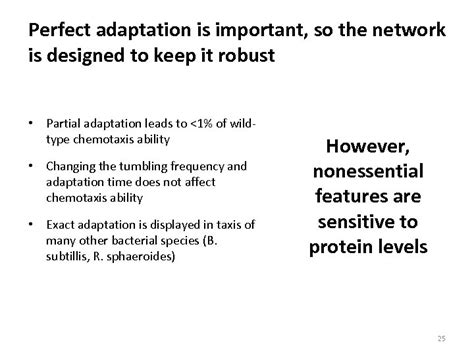 Robustness In Protein Circuits Adaptation In Bacterial Chemotaxis